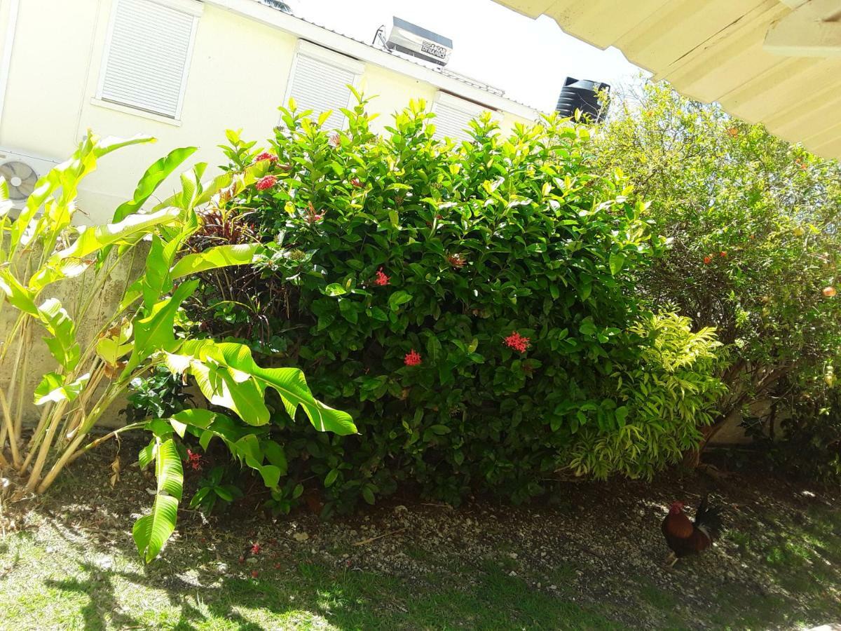 Carib Blue Apartments Oistins Bagian luar foto